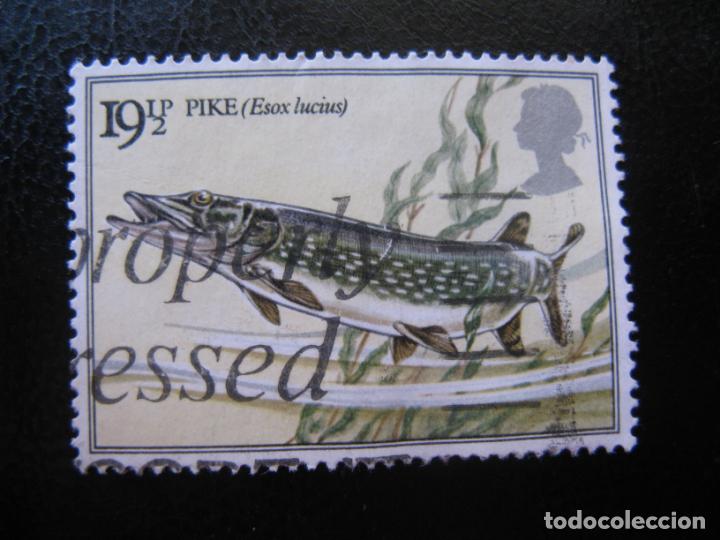 Timbres: -inglaterra, tema fauna,peces