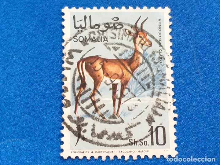 Selos: Sello de Somalia. Ivert 95. Fauna. Antílope.