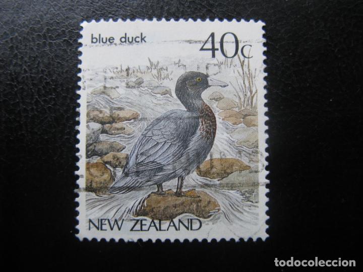 Timbres: -nueva zelanda, aves, pato azul