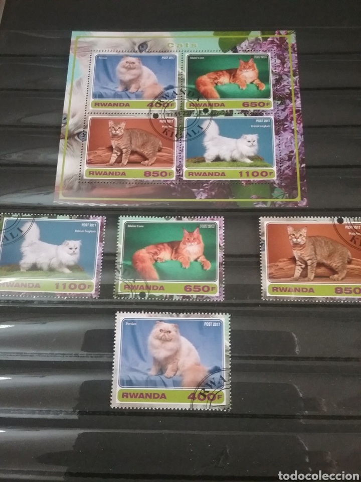 Selos: HB + sellos HB R. Ruanda (Rwanda) mtda/2017/Gatos/animales/domesticos/felinos/mamiferos/vertebrados/