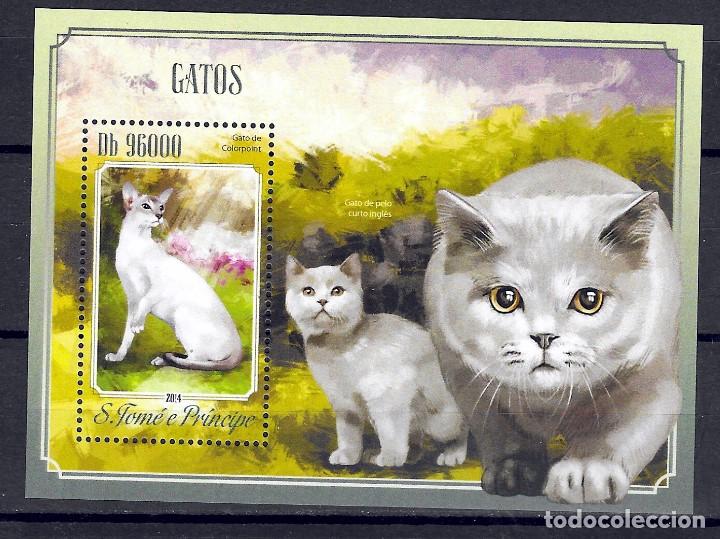 Timbres: S. TORMR PRINCIPE N&ordm; HB 873 (**)