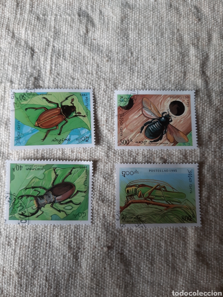 Sellos: Serie completa Insectos Camboya 1995 - Foto 1