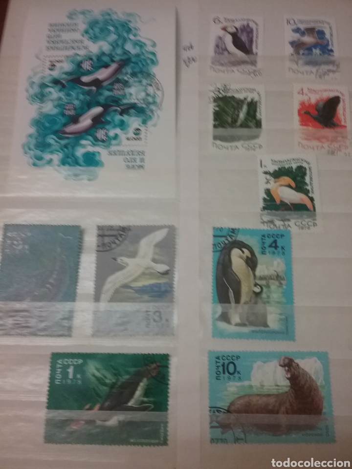 Timbres: Sellos Rusia (URSS.CCCP) mtdo/resto charnela/1978-1979/Fauna/aves acuaticas/pajaros/peces/expo/foca/