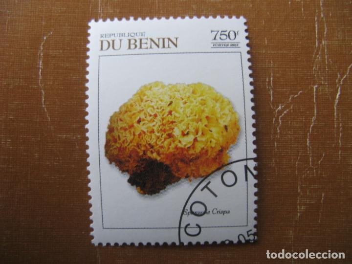 Sellos: benin 2013, esponja crispa - Foto 1