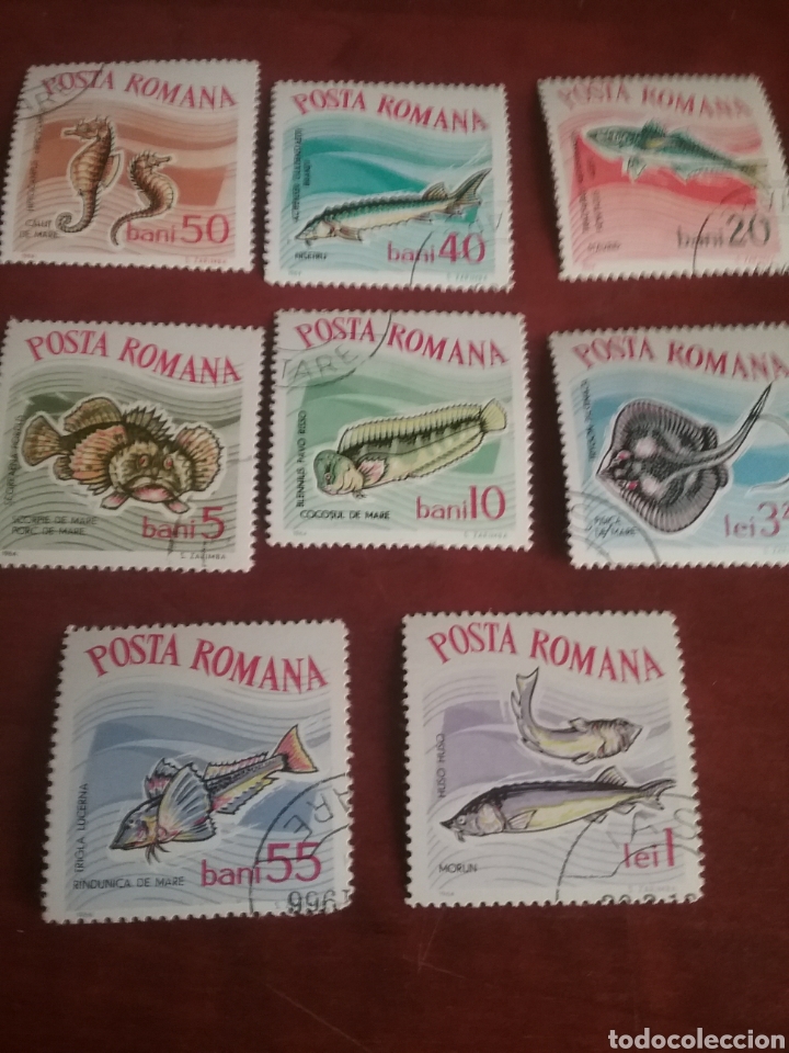 Timbres: Sellos R. Rumania (P. Romana) mtdos/1964/peces/pescado/fauna/vida/marina/animales/