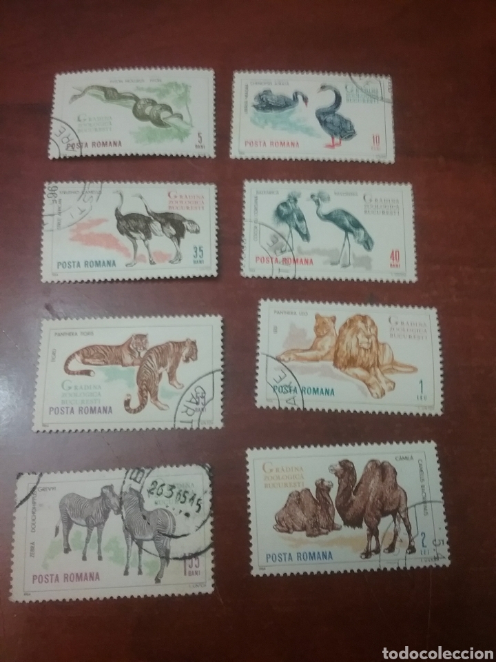 Timbres: Sellos Rumania (P. Romana)mtdos(+/-se&ntilde;al bisagra)/1964/Animales zoo Bucaret/serpiente/camello/avestr