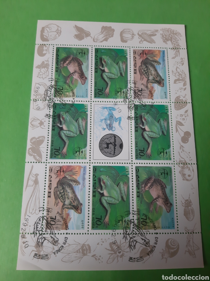 Sellos: DOR KOREA HOJAS BLOQUE RANAS 1992 - Foto 1