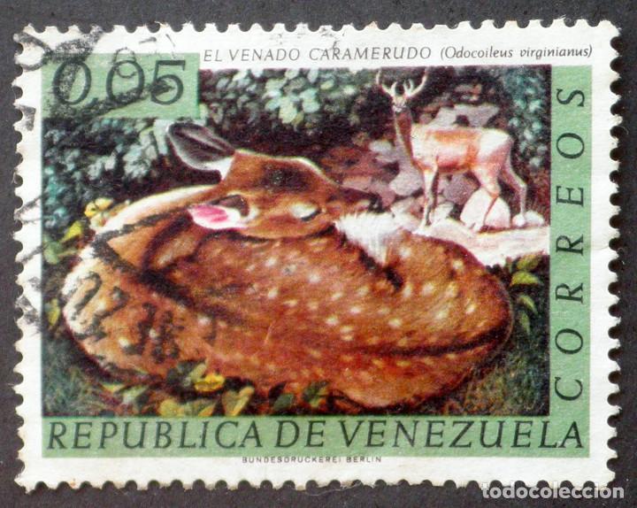 Sellos: 1963 Venezuela Odocoileus virginianus - Foto 1