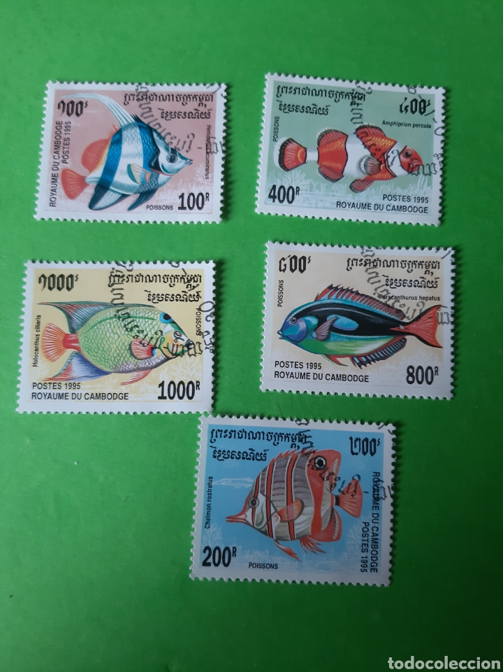 Sellos: Cuba PECES 3431/36 1995 - Foto 1