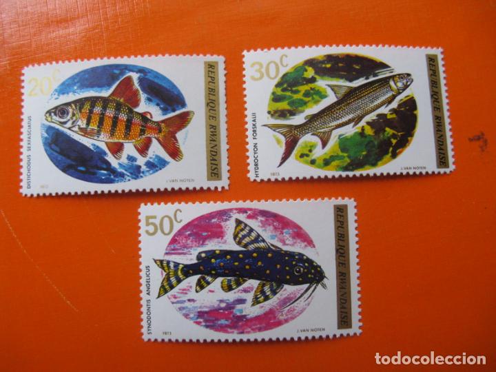 Sellos: ruanda 1973, peces, Yvert 553/55 - Foto 1