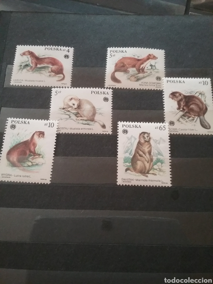 Briefmarken: Sellos de Polonia (Polska) nuevos/1984/Marmota/Castor/Hur&oacute;n/Naturaleza/Animales/fauna/mamiferos/