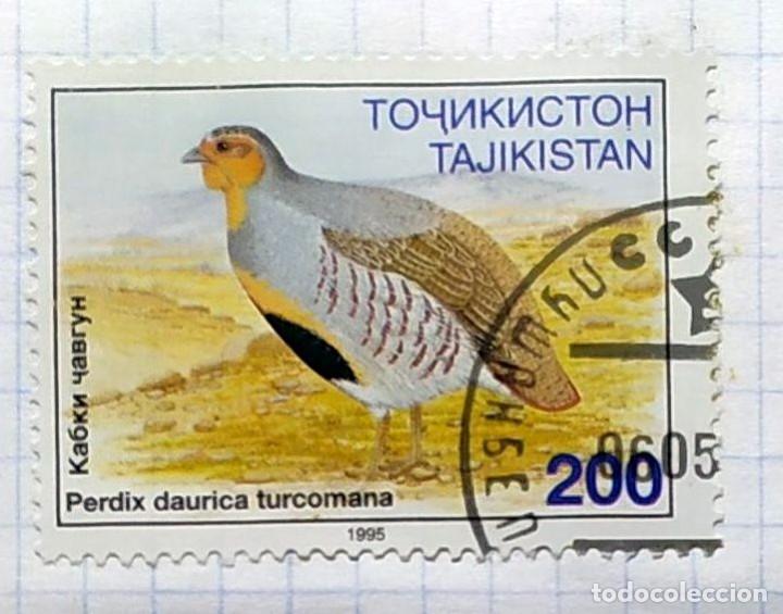 Selos: TAJIKISTAN 1996 FAUNE PAJAROS OISEAUX 01