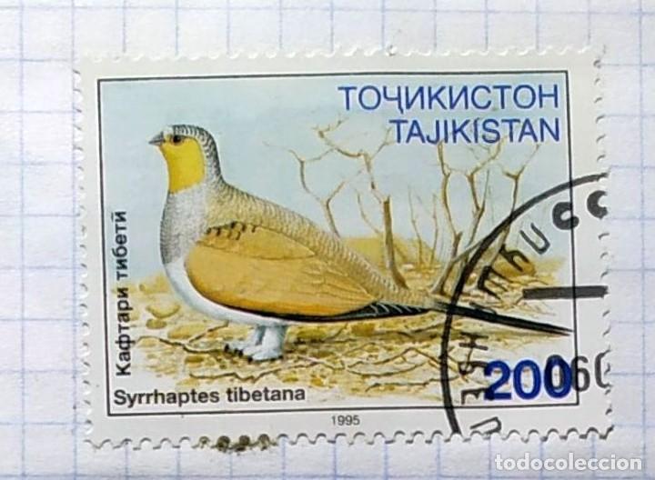 Selos: TAJIKISTAN 1996 FAUNE PAJAROS OISEAUX 02