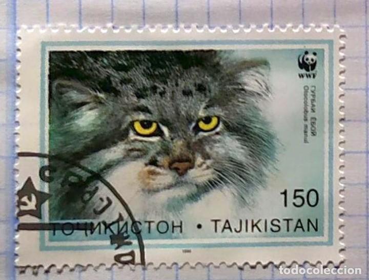 Selos: TAJIKISTAN 1996 FAUNE GATO OISEAUX 01