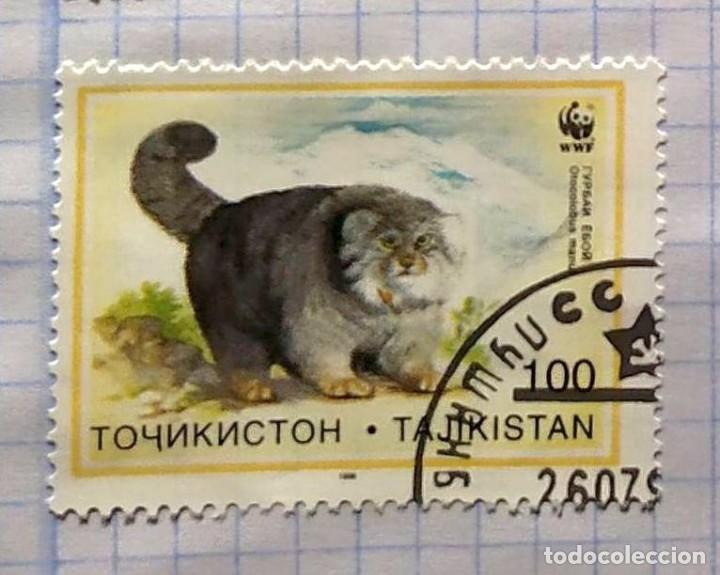 Selos: TAJIKISTAN 1996 FAUNE GATO OISEAUX 02