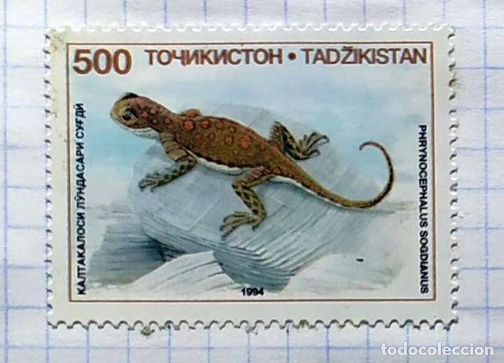 Selos: TAJIKISTAN 1996 FAUNE DINOSAURIO OISEAUX 02