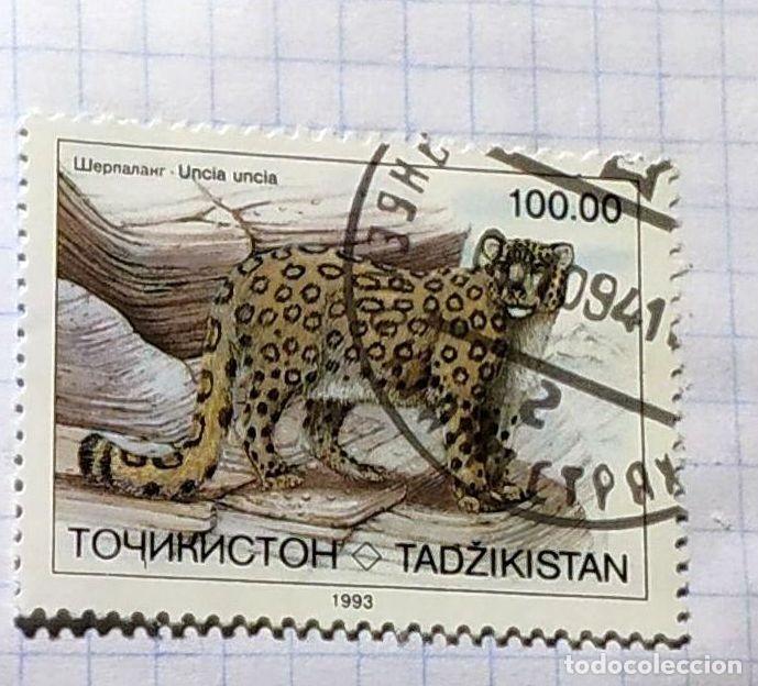 Selos: TAJIKISTAN 1996 FAUNE TIGRE