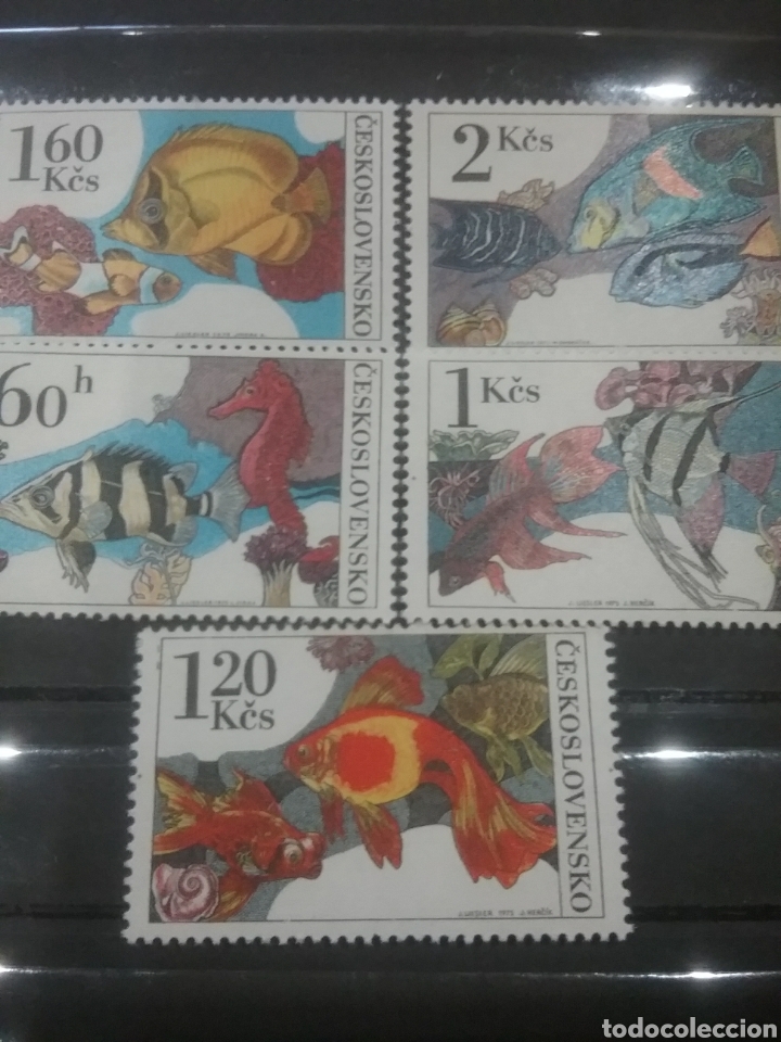 Selos: Sellos R. Checoslovaquia nuevo/1975/peces/acuario/pescado/vida/funa/marina/aniamles/escalar/
