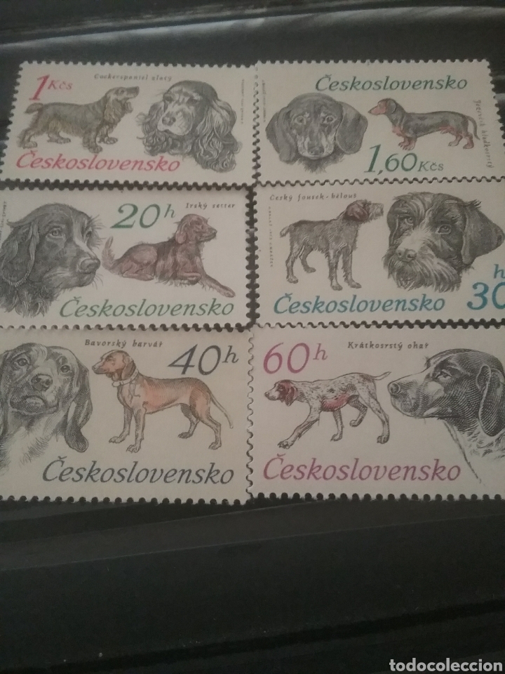 Selos: Sellos R. Checoslovaquia nuevos/1973/perros/caza/aniamles/manuraleza/barbudo/setter/sabieso/