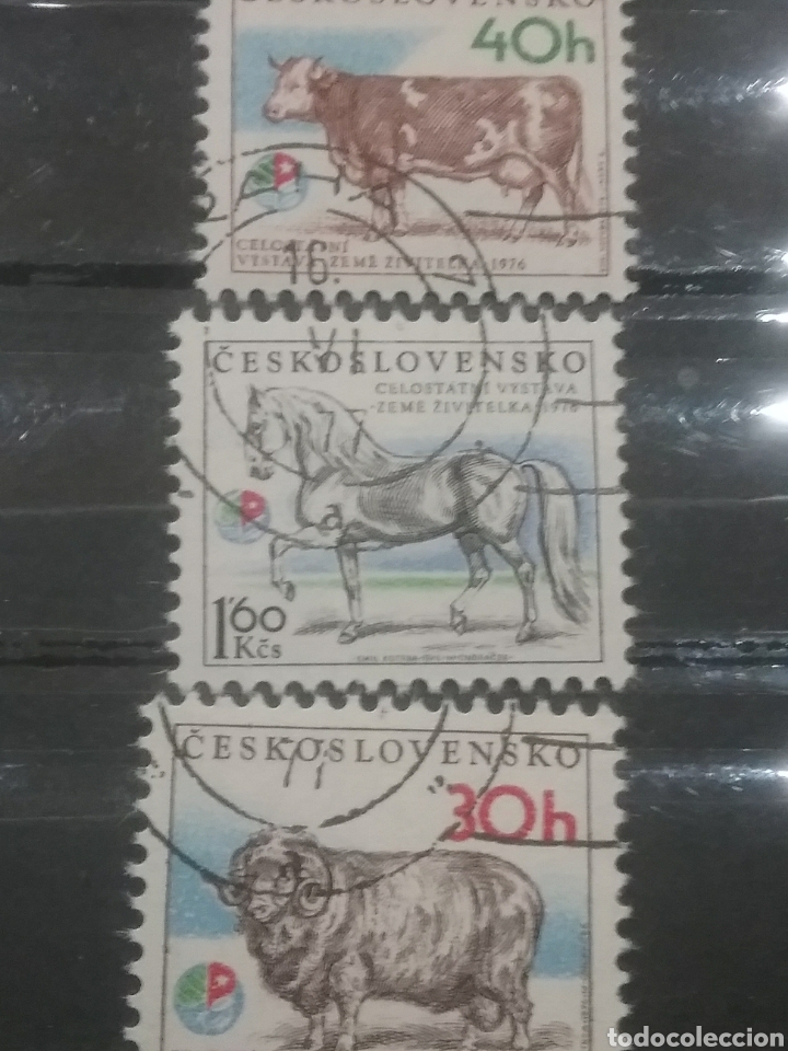 Selos: Sellos R. Checoslovaquia mtdos/1976/Carnero/Vaca/Caballo/Ganaderia/Mamiferos/Lana/fauna/