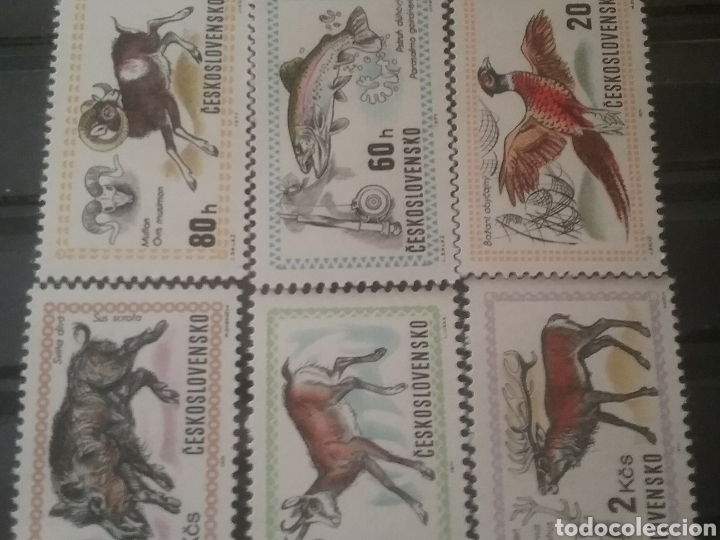 Selos: Sellos R. Checoslovaquia nuevo/1971/exp/mundial/caza/animales/naturaleza/jabali/ciervo/muflon/trucha