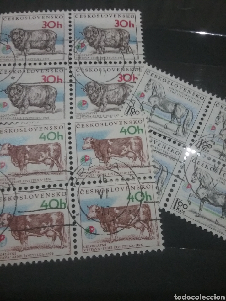 Selos: Sellos R. Checoslovaquia mtdos/1976/Carnero/Vaca/Caballo/Ganaderia/Mamiferos/Lana/fauna/