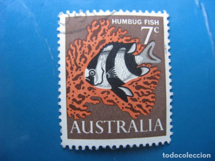 Sellos: +australia 1966, peces, Yvert 325 - Foto 1