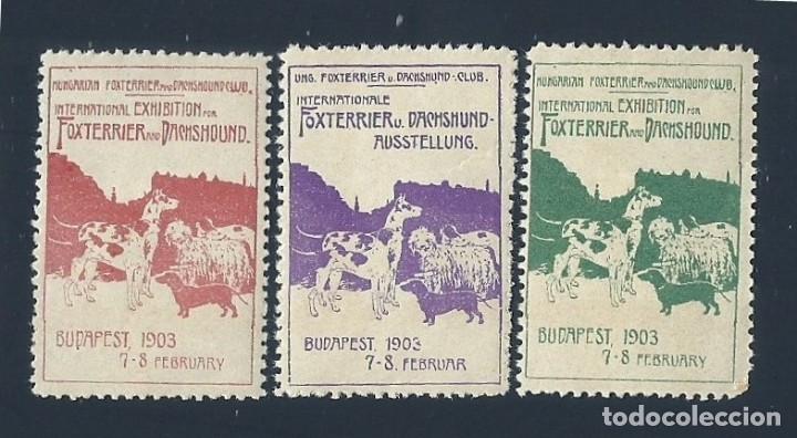 Timbres: F3-1 Vi&ntilde;etas PERROS Ungarian Foxterrier and dachshound club Internationale Foxterrier v. dachshund