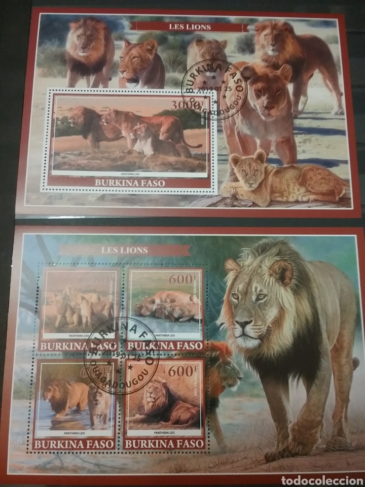 Selos: HB (2) Burkina Faso mtda/2019/leones/tigre/felino/mamifero/naturaleza/fauna/animales/sabana/depredad