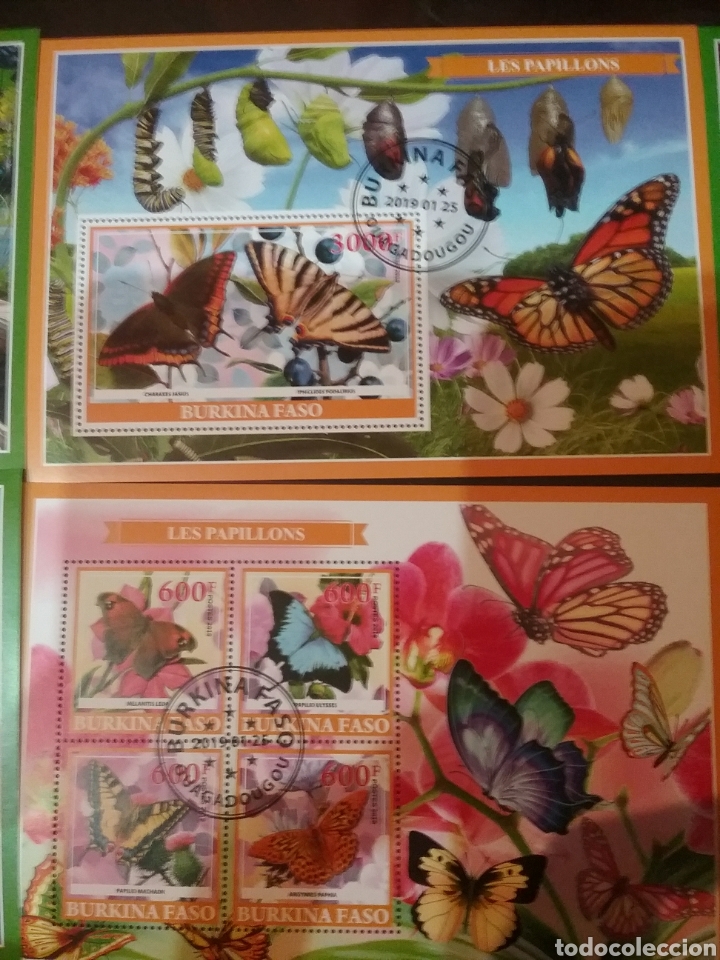 Sellos: HB (2) Burkina Faso mtda/2019/fauna/flora/insectos/mariposas/capullo/metamorfosis/polilla/gusano/ - Foto 1 - 206294698