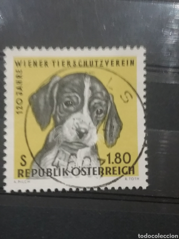 Selos: Sellos Austria (Osterreich) mtdos/1966/perro/animales/domestios/mamiferos/can/vertebrado/fauna