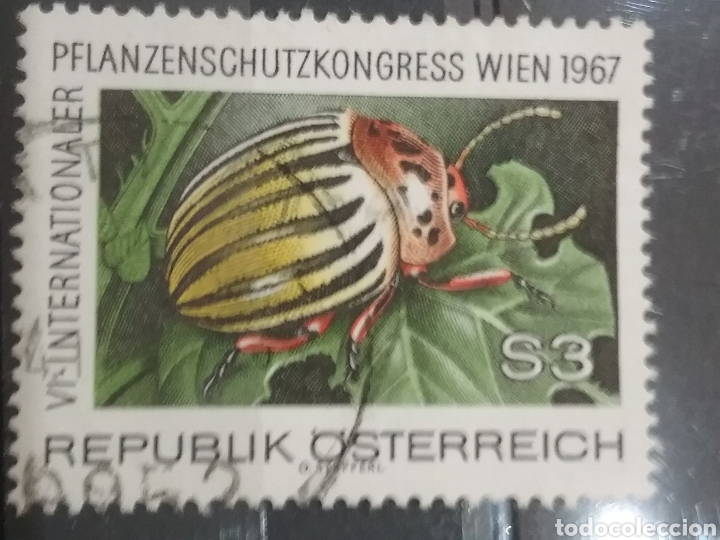 Selos: Sellos Austria (Osterreich) mtdos/1967/naturaleza/insectos/fauna/animales/naturaleza/cucaracha/flora