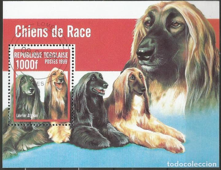 Selos: REP&Uacute;BLICA TOGOLAISE - 1999 - PERROS DE CR&Iacute;A AFGANOS - NUEVO CON MATASELLOS