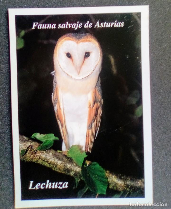 Sellos: Lechuza - Foto 1