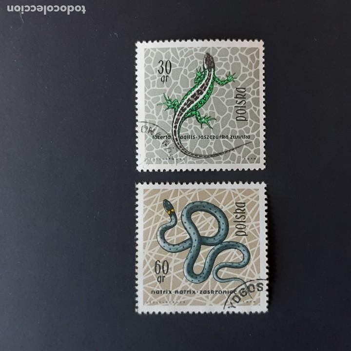 Timbres: LOTE 2 SELLOS REPTILES. POLONIA. 1963. USADOS.