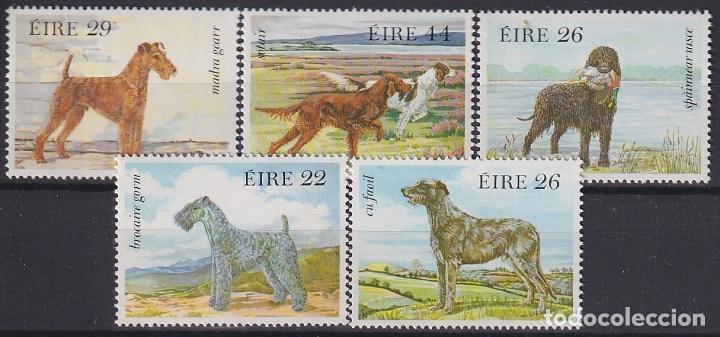 Selos: &rdquo;F-EX18250 IRELAND MNH 1983 DOG PERROS MADRA GEARR BROCAIRE GORM SOTAIR SHEET + SET.&rdquo;