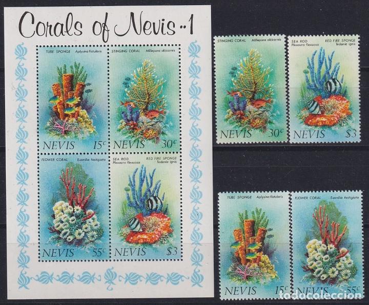 Sellos: &rdquo;F-EX18310 NEVIS IS MNH 1983 SEA MARINE LIFE WILDLIFE SHELL FISH CORAL SHEET.&rdquo;