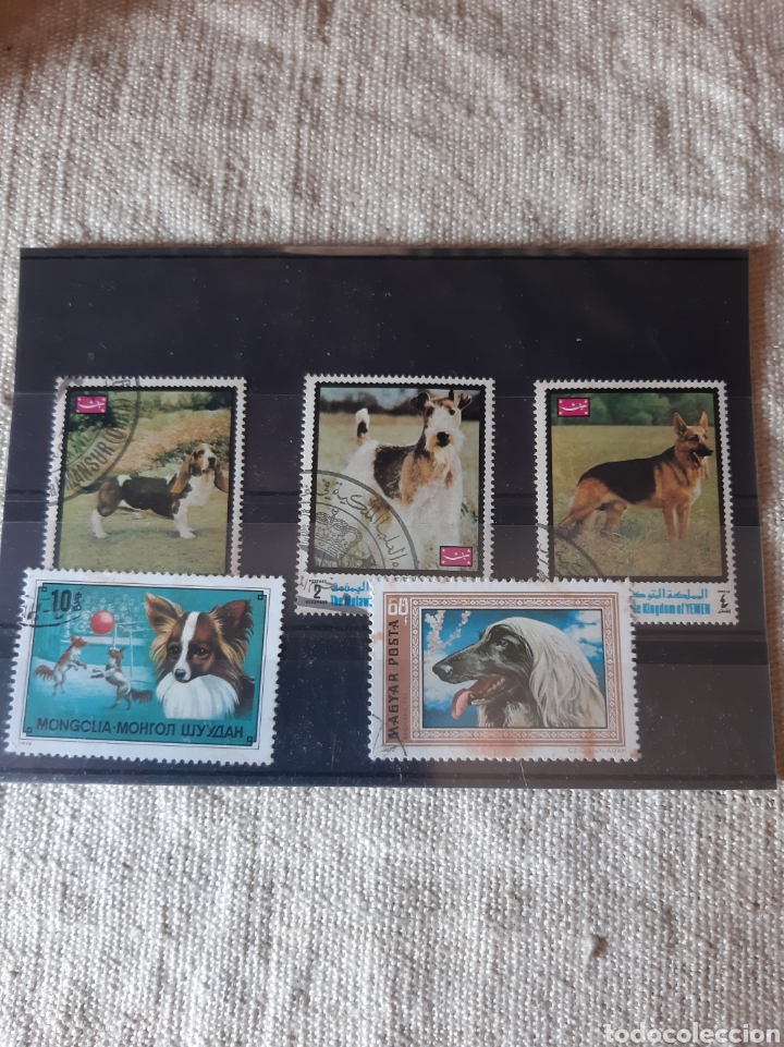 Sellos: FAUNA PERROS USADOS - Foto 1