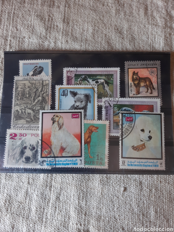 Sellos: FAUNA PERROS SELLOS USADOS - Foto 1