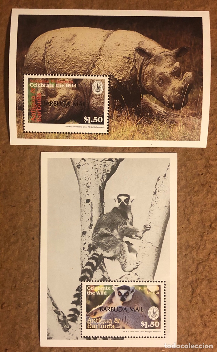 Selos: ANTIGUA Y BARBUDA 2 SELLOS DE 1993; FAUNA. RINOCERNONTE Y L&Eacute;MUR.