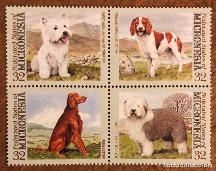 Sellos: SELLOS MICRONESIA. PERROS. FAUNA. - Foto 1