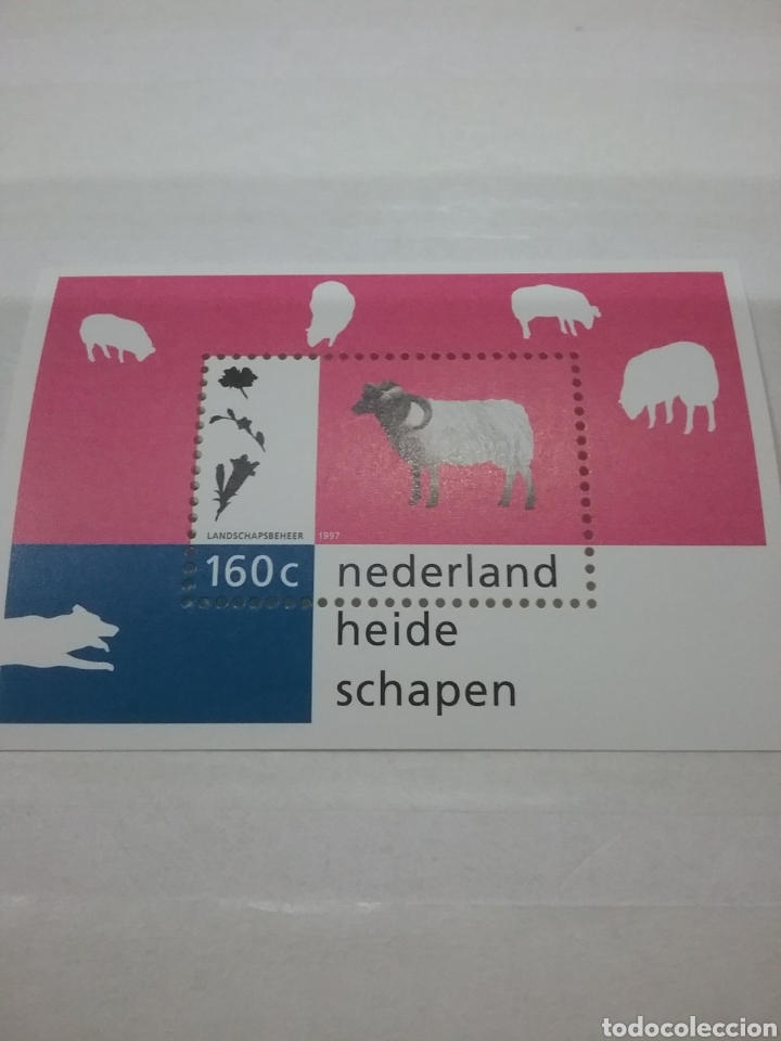 Briefmarken: HB Holanda (P. Bajos) nuevo/1997/animales/domesticos/obeja/mamiferos/ungulado/rumiante/cordero/ganad