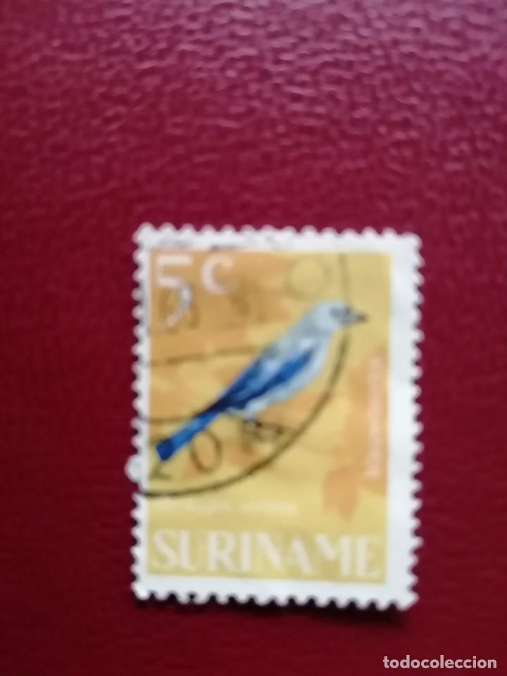 Briefmarken: SURINAME - SURINAM - GUAYANA NEERLANDESA - VALOR FACIAL 5 C - FAUNA - AVE