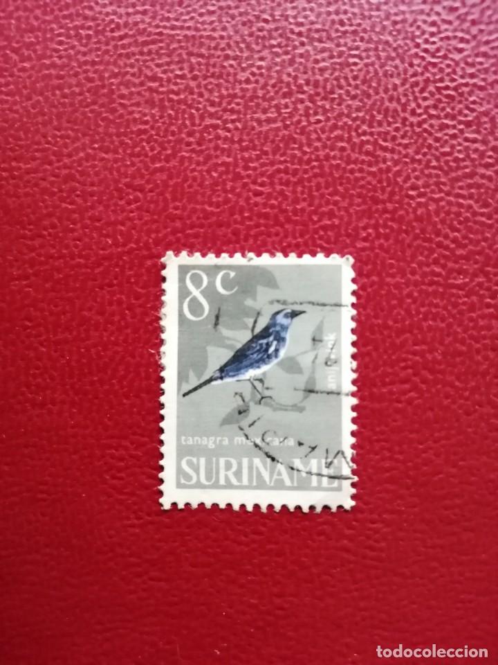 Briefmarken: SURINAME - SURINAM - GUAYANA NEERLANDESA - VALOR FACIAL 8 C - FAUNA - AVE