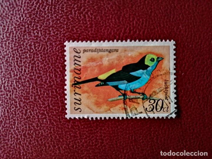 Briefmarken: SURINAME - SURINAM - GUAYANA NEERLANDESA - VALOR FACIAL 30 CT - FAUNA - AVE