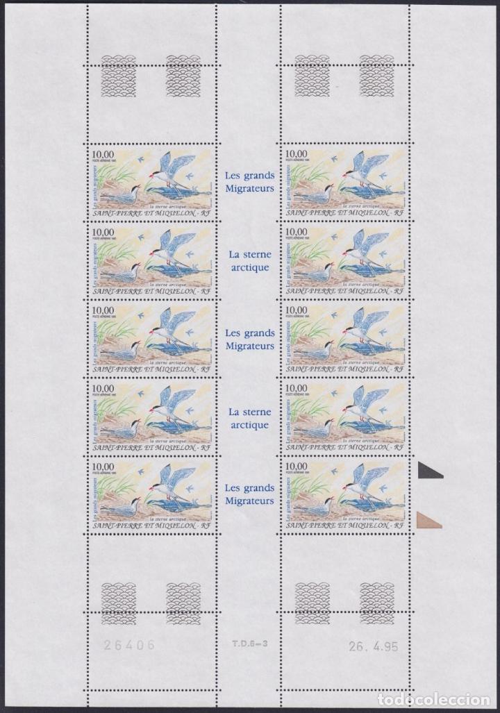 Timbres: F-EX17691 SAINT PIERRE MIQUELON FRANCE MNH 1995 ARTIC MIGRATORY BIRD BLOCK 10.