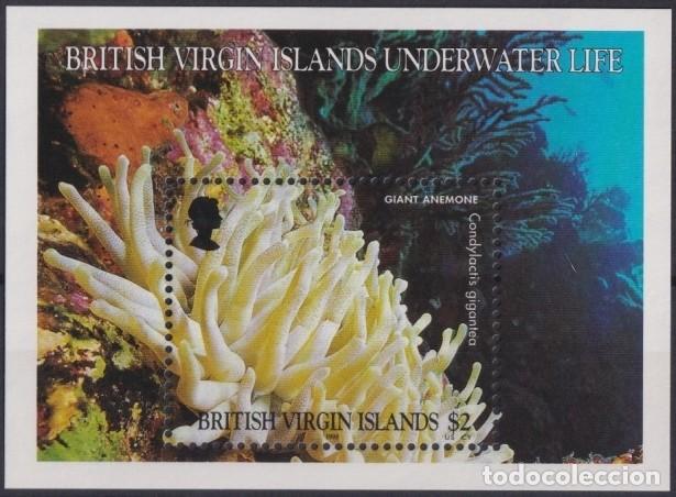 Timbres: F-EX19807 BRITISH VIRGIN IS. MNH UNDERWATER LIFE MARINE SEA GIGANT ANEMONES.
