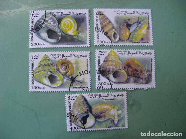 Sellos: +somalia,1999, 5 sellos fauna, tema malacolog&iacute;a