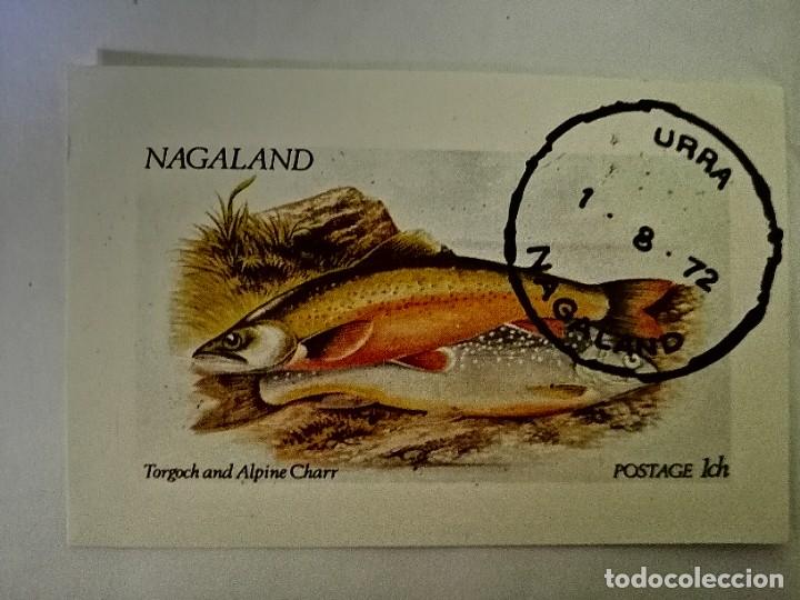 Briefmarken: NAGALAND - VALOR FACIAL 1 CH - FAUNA - PECES
