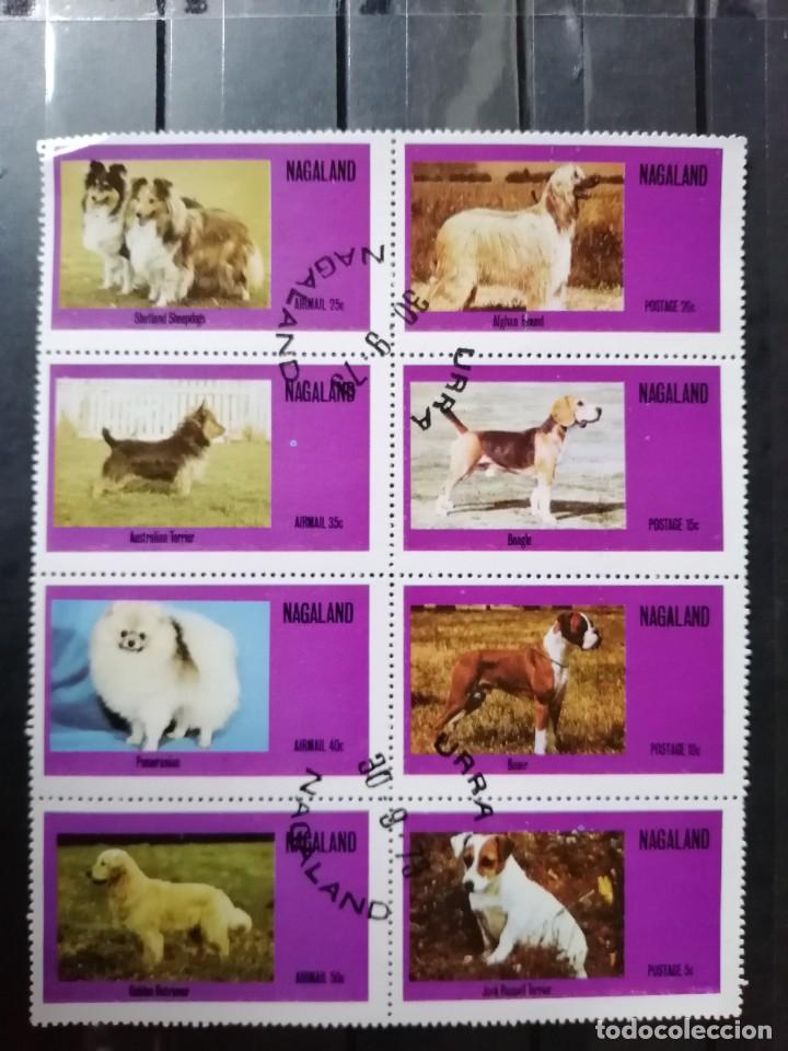 Briefmarken: NAGALAND - TIRA 8 SELLOS - FAUNA - PERROS